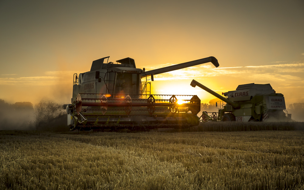 1. Platz Anton Kienle